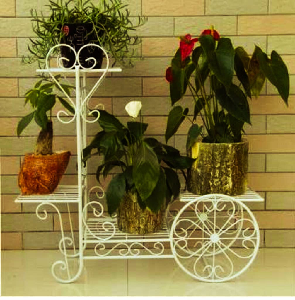 White decorative iron flower display cart
